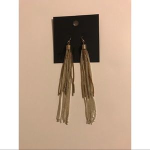 [NWOT] Dangle Earrings